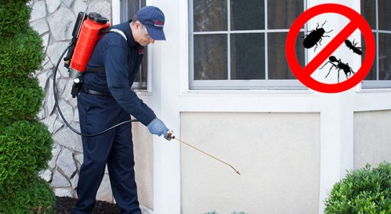 Kocaköy Karınca İlaçlama böcek ilaçlama ve haşere kontrolü — ilaclama-tr.com